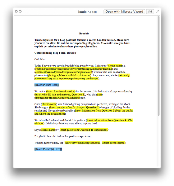 188 Prewritten Blog Posts For Photographers + Forms!