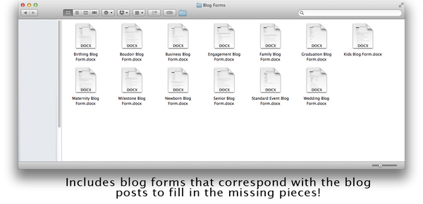 188 Prewritten Blog Posts For Photographers + Forms!