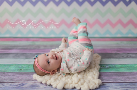 Grow With Me Sessions: Posing Videos and Ebook with Pricing, Posing, Contracts & More!