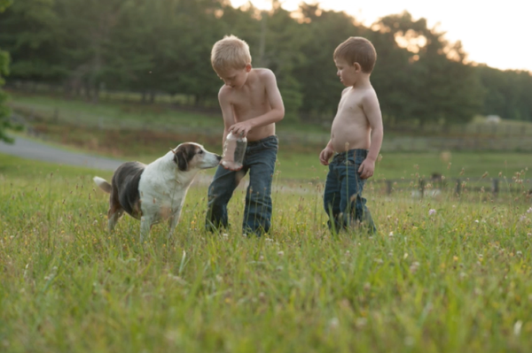 Firefly Video Course by Andrea Martin