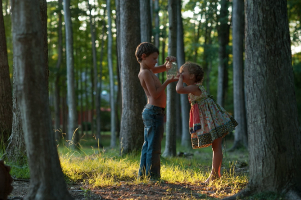 Firefly Video Course by Andrea Martin