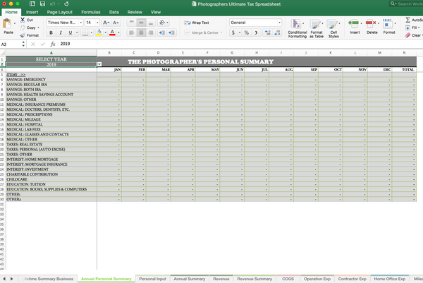 Taxes Made Easy, Multi-Year Photography Tax Spreadsheets, Tax Write Offs, Audit Prep Guide