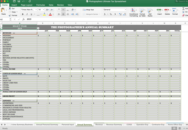 Taxes Made Easy, Multi-Year Photography Tax Spreadsheets, Tax Write Offs, Audit Prep Guide
