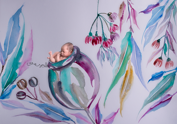 Newborn Watercolor Digital Backdrop Bundle