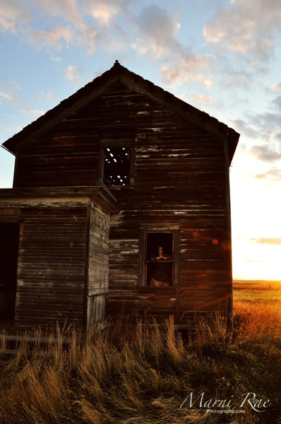 Actions for Sky Photos