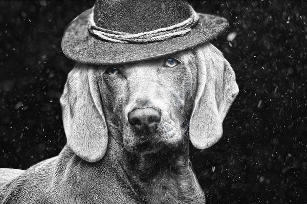 800+ HD Photo Overlays, Underwater, Real Smoke, Rain Overlays + More!