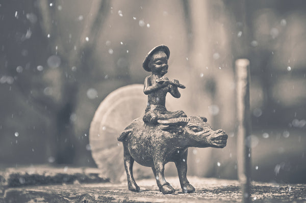 800+ HD Photo Overlays, Underwater, Real Smoke, Rain Overlays + More!