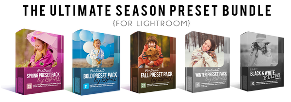 The Ultimate Season Preset Bundle