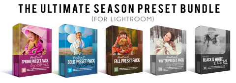 The Ultimate Season Preset Bundle