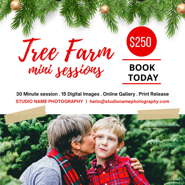 Holiday, Christmas Mini Session Marketing Template Bundle for CANVA