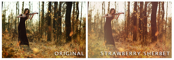 The BP4U Photoshop Action Collection