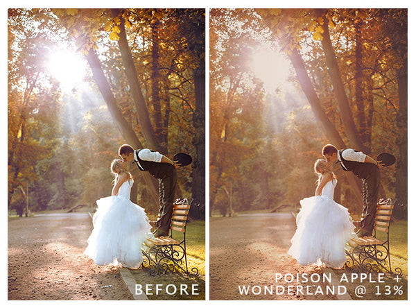 Whimsical Actions Made Easy!