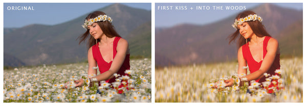 The BP4U Photoshop Action Collection