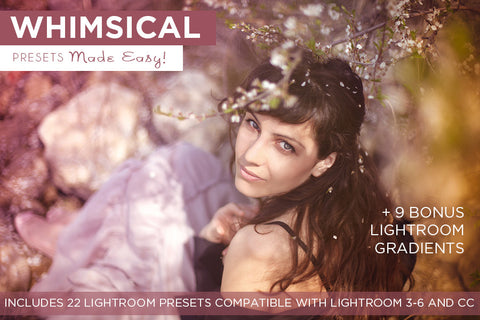 Whimsical Presets Made Easy!