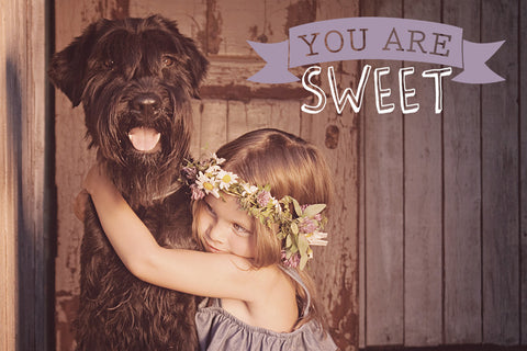 Valentine Text Overlay - You are SWEET