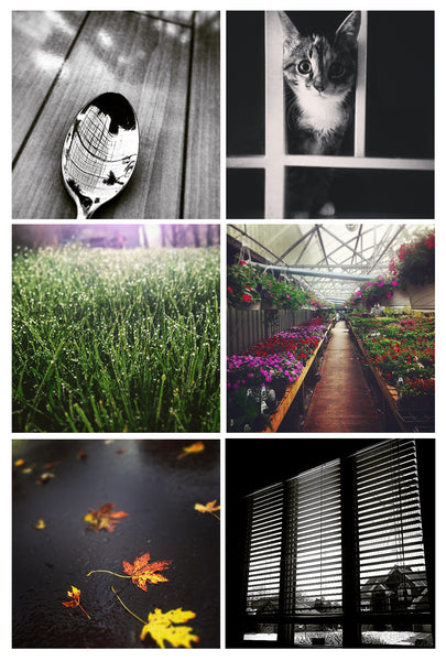 How To Take Better Photos With Your Phone