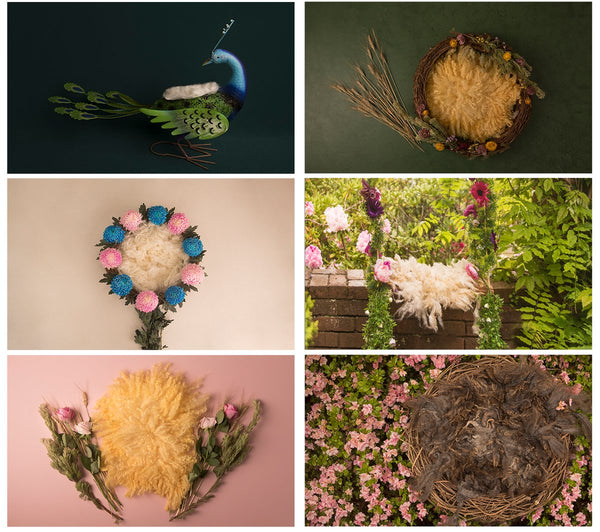 Complete Digital Newborn Backdrop Bundle + Tutorial Videos!