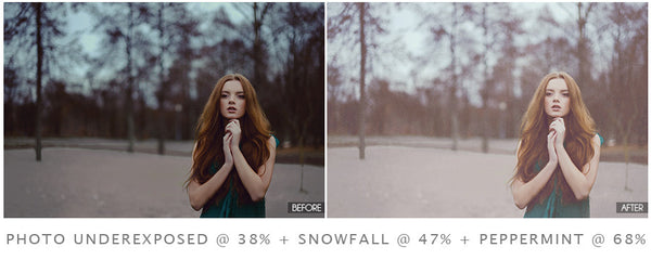 Winter Portrait Action Pack