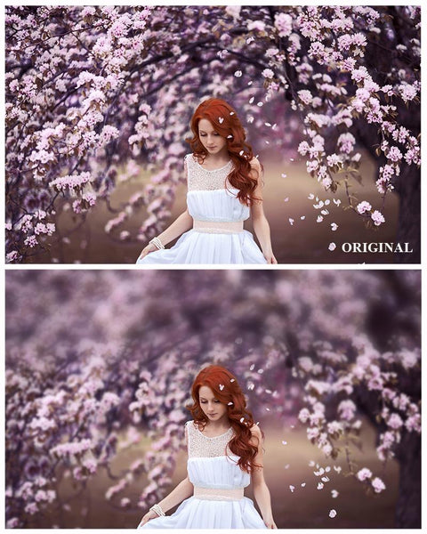 *Fan Favorite* Over 800 Photoshop Actions, Overlays, Templates & More from Urban Bloom Actions