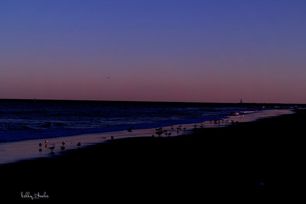 Actions for Beach Photos