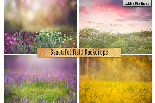 Photo Overlay Bundle: Beach Backgrounds, Dirt Explosion, Stadium Light, Animal Overlays, Ribbon, Floral + more!