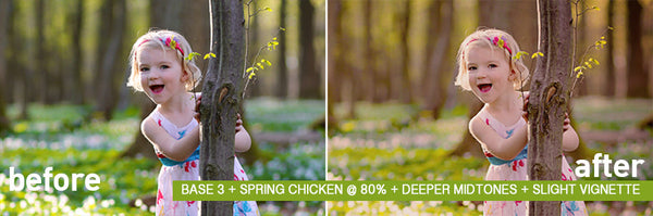 Spring Portrait Action Pack