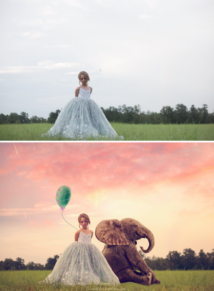 Imagine Series: Step by Step Composite Videos by Stephanie Stafford