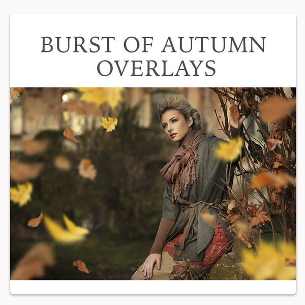 *Fan Favorite* Over 800 Photoshop Actions, Overlays, Templates & More from Urban Bloom Actions