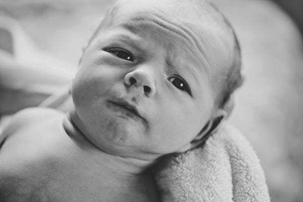 Portrait Workflow Actions Bundle (Photoshop)