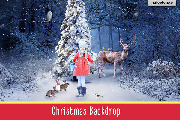 Winter & Christmas HUGE OVERLAY BUNDLE