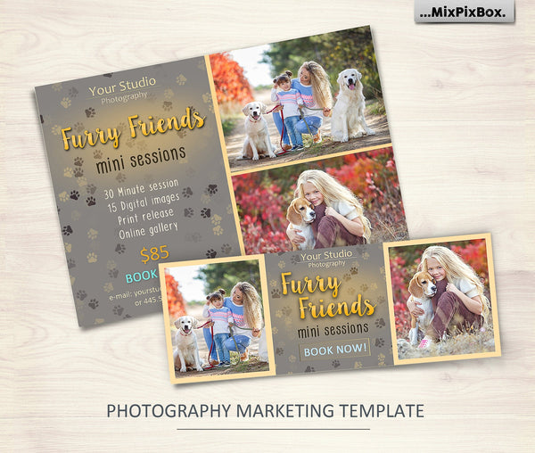Mini Session Template Super Pack