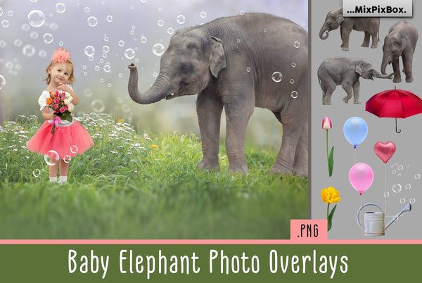Photo Overlay Bundle: Beach Backgrounds, Dirt Explosion, Stadium Light, Animal Overlays, Ribbon, Floral + more!
