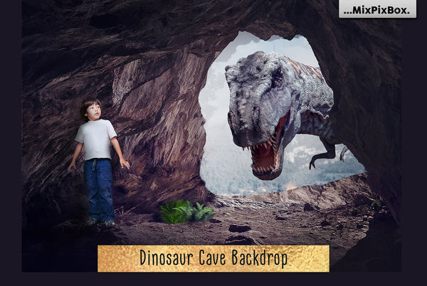 Photo Overlay Bundle: Beach Backgrounds, Dirt Explosion, Stadium Light, Animal Overlays, Ribbon, Floral + more!