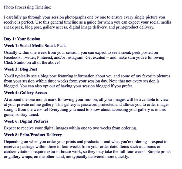 Portrait Photography Prewritten Content Bundle: Prewritten Text for your Website, Newsletter, Emails + Blog!