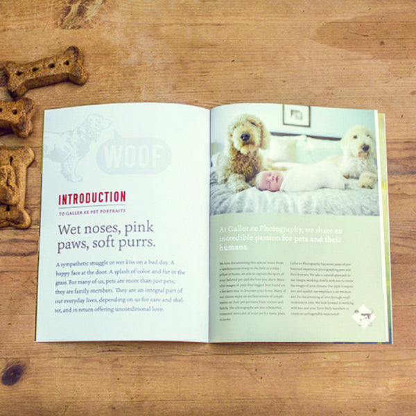 Pet Portrait Marketing Magazine