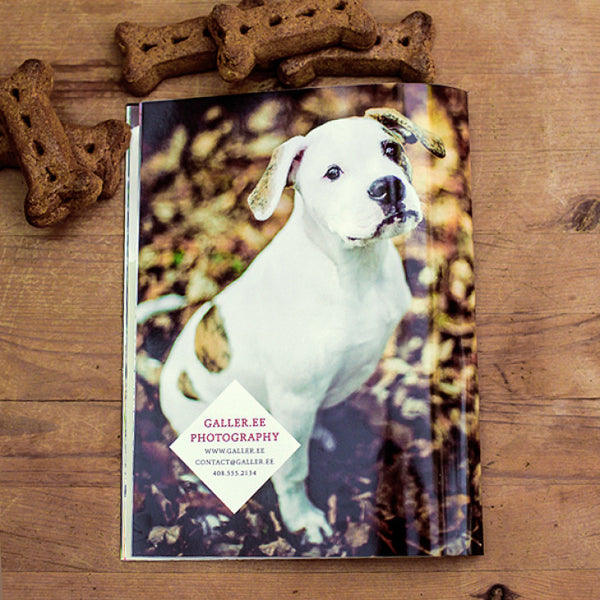 Pet Portrait Marketing Magazine