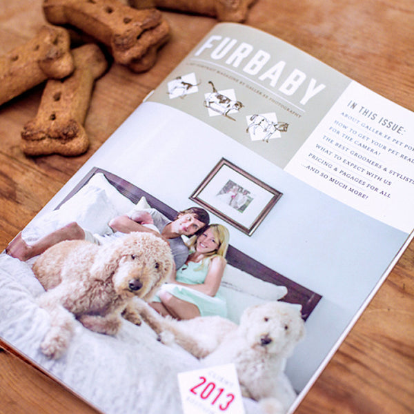 Pet Portrait Marketing Magazine