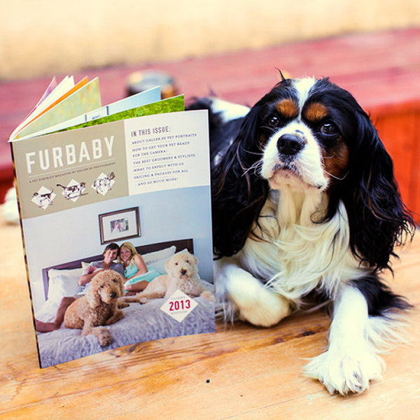 Pet Portrait Marketing Magazine