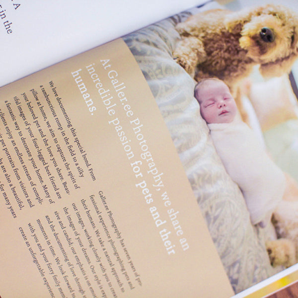 Pet Portrait Marketing Magazine