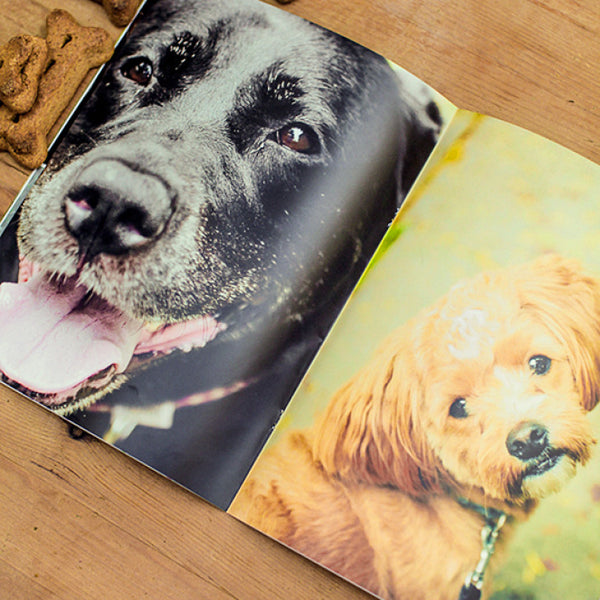 Pet Portrait Marketing Magazine