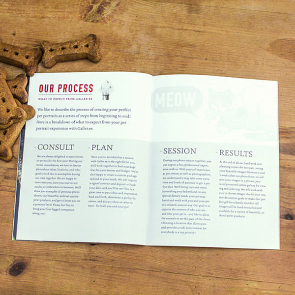 Pet Portrait Marketing Magazine