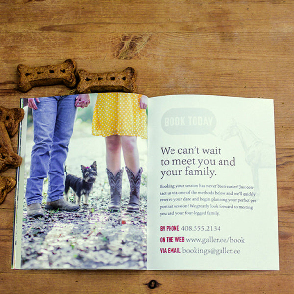 Pet Portrait Marketing Magazine