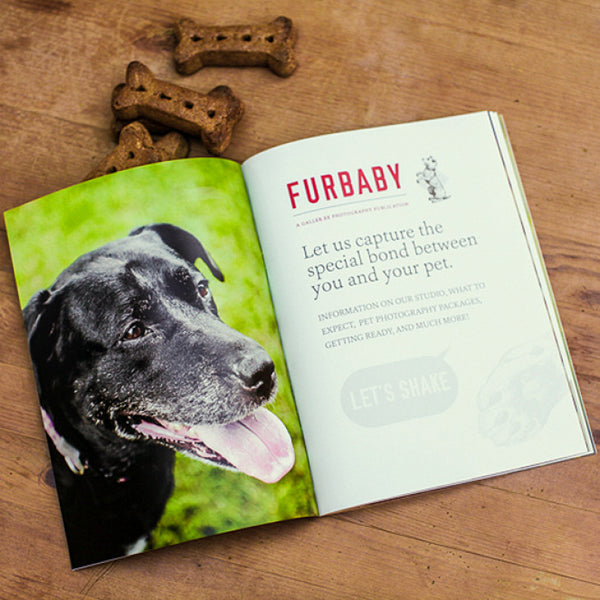 Pet Portrait Marketing Magazine