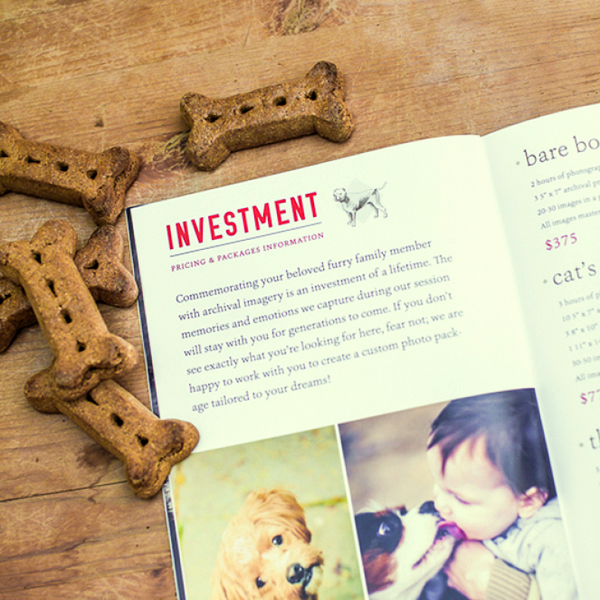 Pet Portrait Marketing Magazine