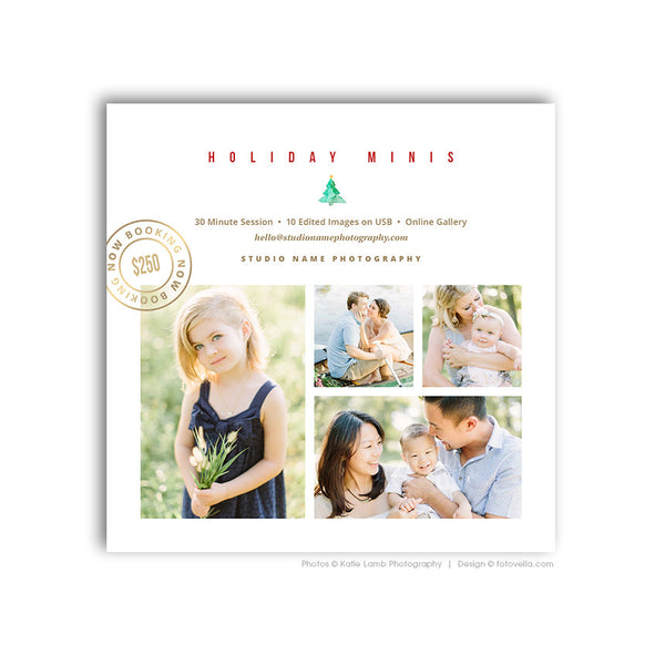 Holiday Mini Session Marketing Board - Digital Marketing Board - MODERN HOLIDAY 1 - 1577