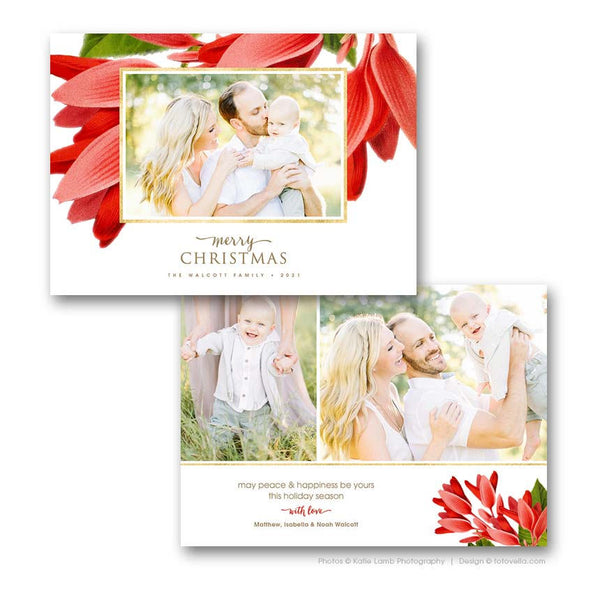 Christmas Photo Card Template Bundle - Photoshop Template for Pro Photographers - Four (4) Cards - 1676