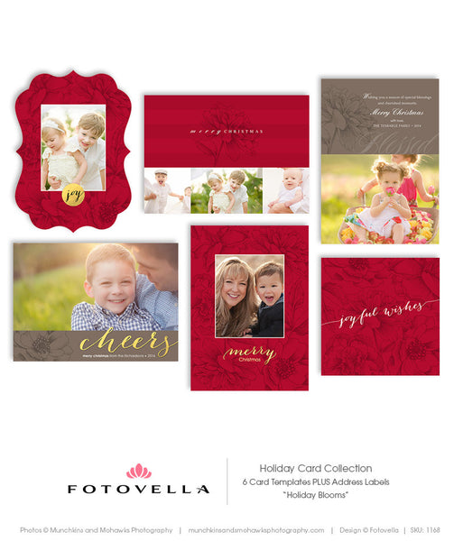 Christmas Card Template - 6 Piece Collection - Holiday Blooms - 1168