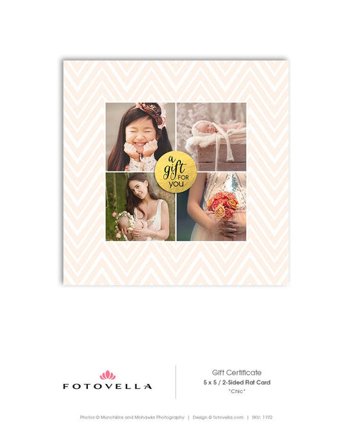 Photography Gift Certificate - Chevron Design 5x5 Card - Photoshop Template - 1192