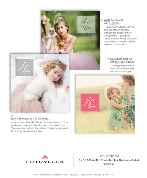 Photography Gift Certificate Template - 5x5 Photoshop Template - 1196