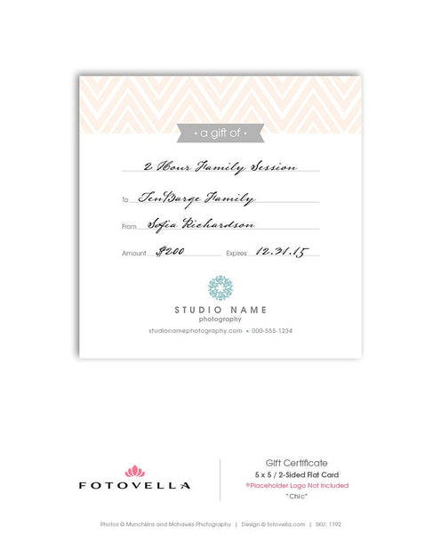Photography Gift Certificate - Chevron Design 5x5 Card - Photoshop Template - 1192